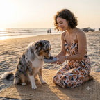 Portable pet water bottle
